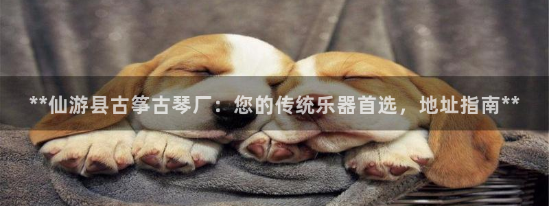 凯发手机客户端下载