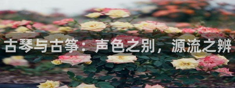凯发官网平台