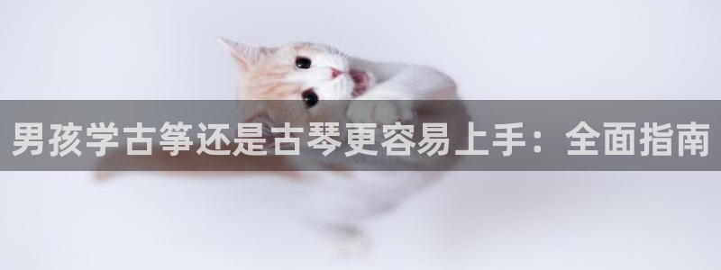 凯发网娱乐官网国际：男孩学古筝还是古琴更容易上手：全面指南