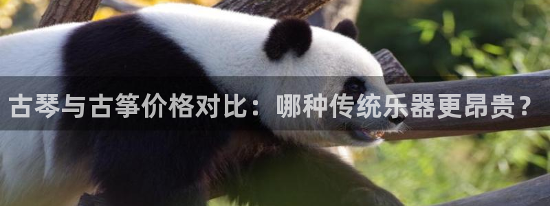 凯发官网入口首页