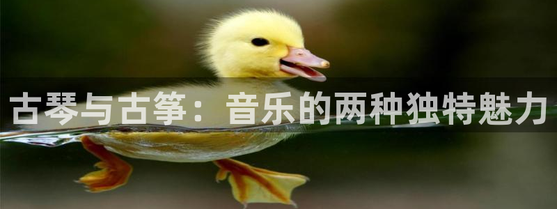 k8凯发官方找就送38
