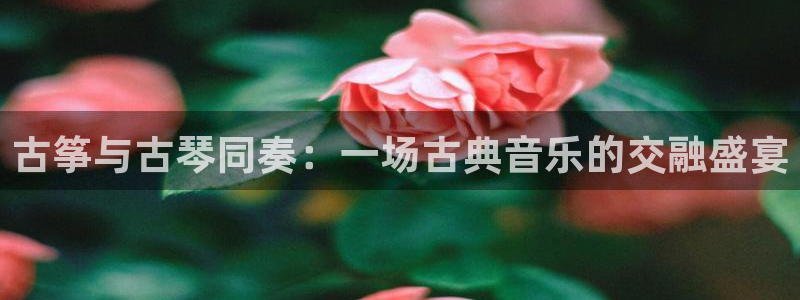 凯发网站是多少
