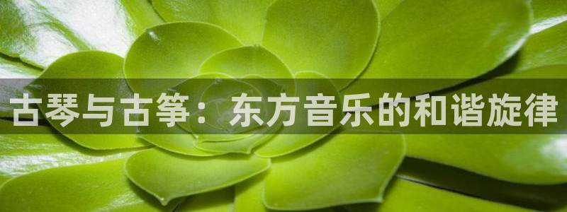 凯发国际app下载：古琴与古筝：东方音乐的和谐旋律