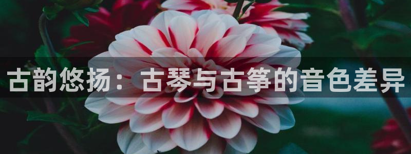 凯发平台风采