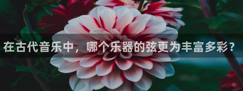 凯发官方首页