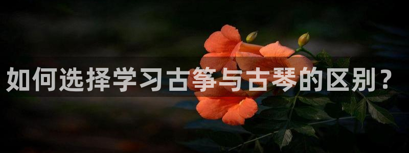 凯发国际网址官网查询