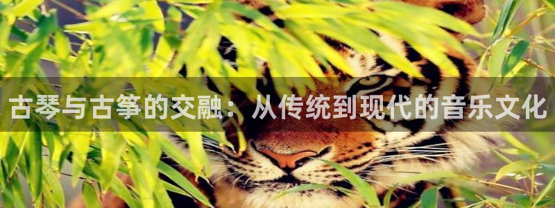 凯发k8国际不能提款了吗