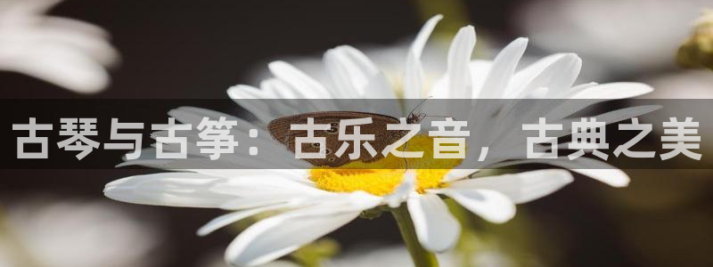 凯发国际平台app