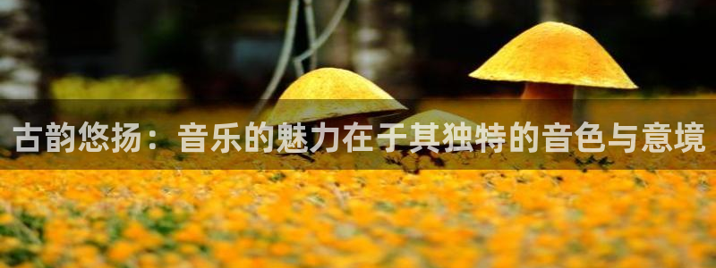 凯发k8娱乐官方下载：古韵悠扬：音乐的魅力在于其独特的音色与