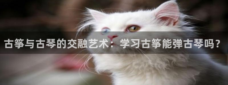 凯发官网下载客户端：古筝与古琴的交融艺术：学习古筝能弹古琴吗