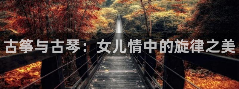 凯发K8登录入口：古筝与古琴：女儿情中的旋律之美