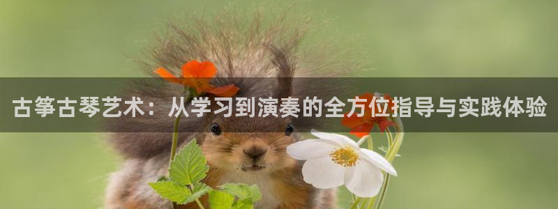凯发旗舰：古筝古琴艺术：从学习到演奏的全方位指导与实践体验