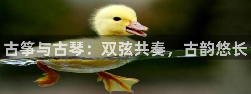 k8凯发是做什么的