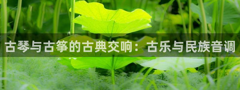 凯发官网入口首页
