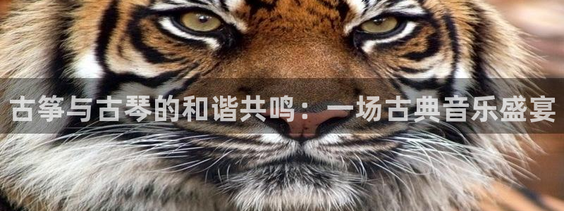 凯发平台轻7O777