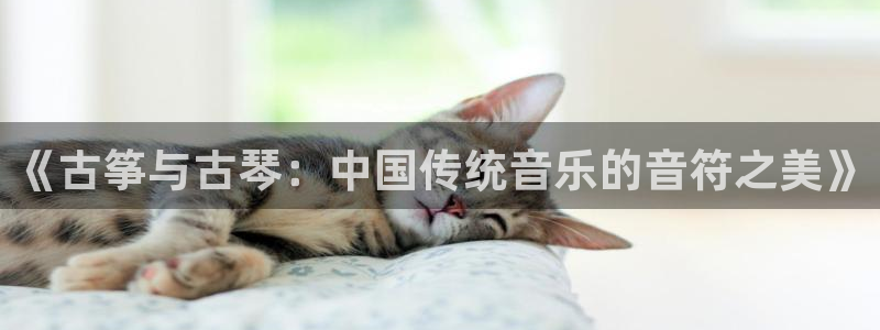 凯发国际网络平台网址