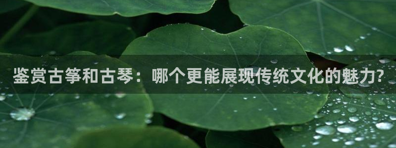 凯发旗舰
