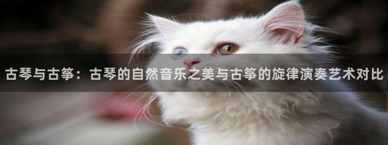 凯发k8娱乐旗舰厅