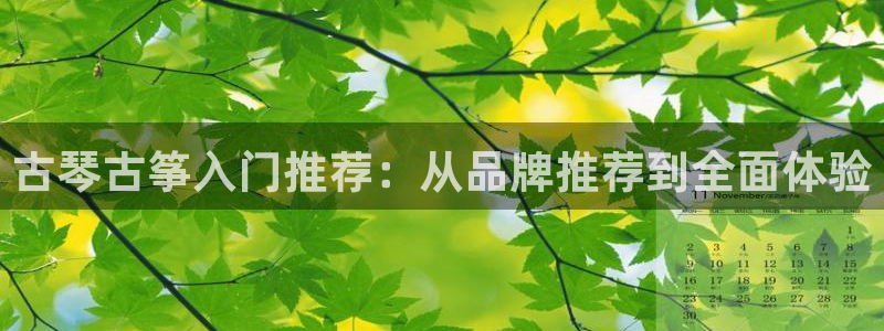 凯发app是干嘛的