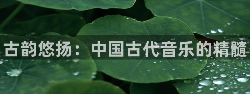 凯发k8国际真人版安全送38元