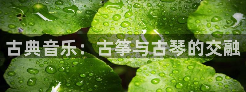 凯发k8娱乐旗舰app下载