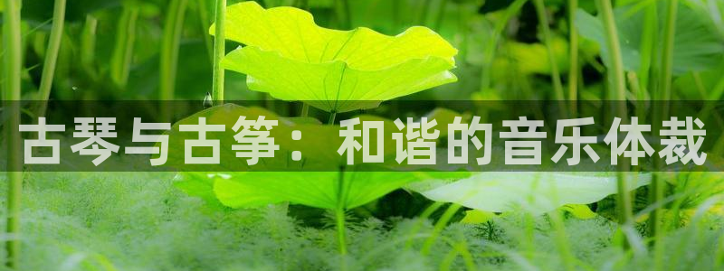 凯发最新官方app下载