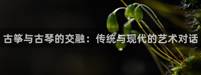 凯发k8手机是正品吗知乎