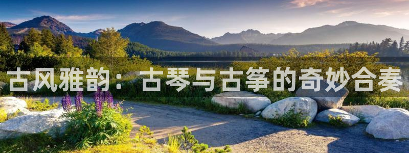 凯发官方网站下载：古风雅韵：古琴与古筝的奇妙合奏