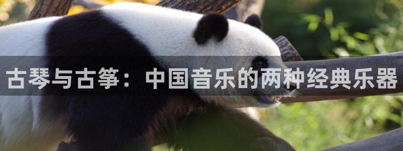 凯发平台开户