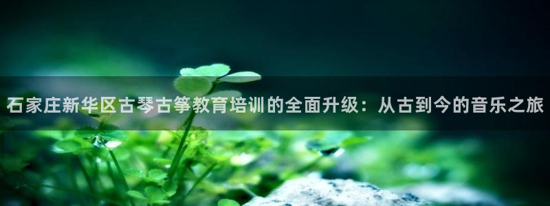 凯发k8app下载