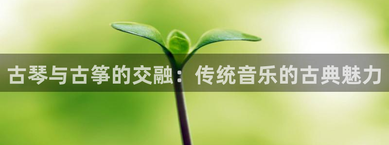 凯发K8登录入口:古琴与古筝的交融:传统音乐的古典魅力