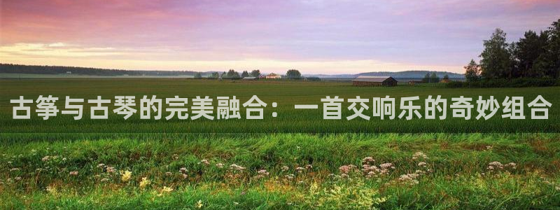 凯发k8娱乐官方版fxzls -安卓3.5：古筝与古琴的完美