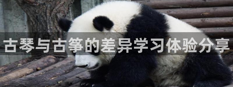 凯发k8娱乐品牌导航