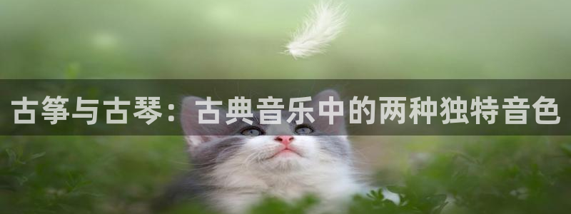 凯发k8国际真人娱乐旗舰厅