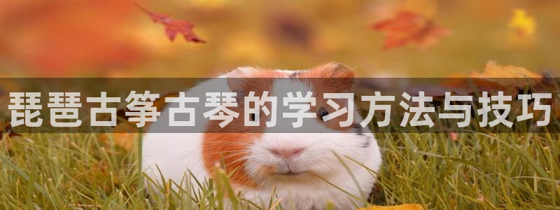 凯发k8国际不能提款了吗