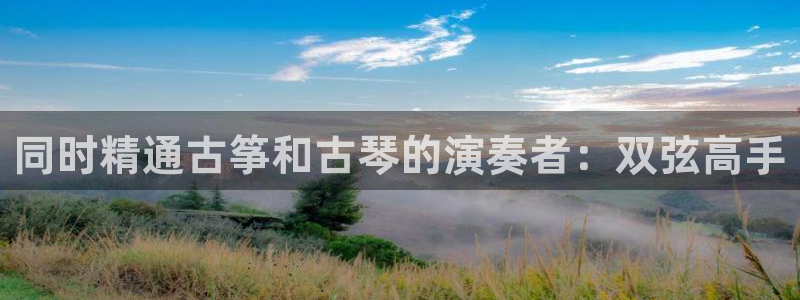 凯发k8国际注册：同时精通古筝和古琴的演奏者：双弦高手